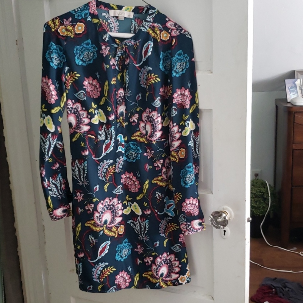 long sleeved dress from Ann Taylor Loft. 00P